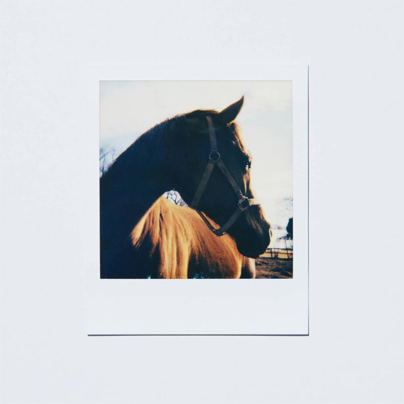 Sou ジャケ写とステッカー ジャケ写ステッカーセット | 眞名子新（Arata Manako） | SPACE SHOWER